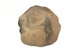 FileNo.138-dok00887.jpg