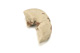 FileNo.138-dok00896.jpg