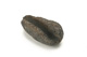 FileNo.138-dok00909.jpg