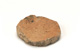 FileNo.138-dok00927.jpg