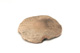 FileNo.138-dok00930.jpg