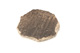 FileNo.138-dok00940.jpg