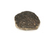 FileNo.138-dok00951.jpg