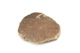 FileNo.138-dok00954.jpg