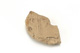 FileNo.138-dok00962.jpg