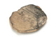 FileNo.138-dok00965.jpg