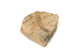 FileNo.138-dok00981.jpg