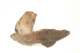 FileNo.138-dok00989.jpg