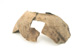 FileNo.138-dok00990.jpg