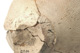 FileNo.138-dok00991.jpg