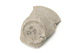 FileNo.138-dok00997.jpg