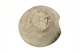 FileNo.138-dok01003.jpg