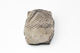 FileNo.138-dok01113.jpg