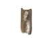 FileNo.138-gra01163.jpg