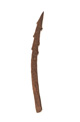 FileNo.138-hor00021.jpg
