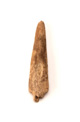 FileNo.138-hor00041.jpg