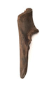 FileNo.138-hor00062.jpg