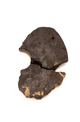 FileNo.138-hor00068.jpg