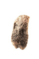 FileNo.138-hor00075.jpg