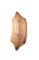 FileNo.138-hor00092.jpg