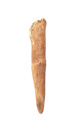 FileNo.138-hor00094.jpg