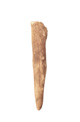 FileNo.138-hor00096.jpg