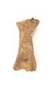 FileNo.138-hor01017.jpg