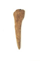 FileNo.138-hor01018.jpg