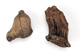 FileNo.138-hor01024.jpg