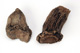 FileNo.138-hor01025.jpg
