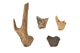 FileNo.138-hor01028.jpg