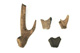 FileNo.138-hor01029.jpg