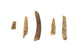 FileNo.138-hor01031.jpg