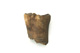 FileNo.138-hor01032.jpg