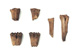 FileNo.138-hor01033.jpg