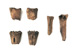 FileNo.138-hor01034.jpg