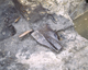 FileNo.138-iko00021.jpg