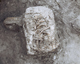 FileNo.138-iko00029.jpg