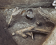 FileNo.138-iko00030.jpg