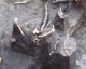 FileNo.138-iko00033.jpg