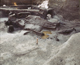 FileNo.138-iko00034.jpg