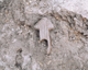 FileNo.138-iko00036.jpg