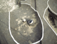 FileNo.138-iko00046.jpg