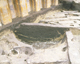 FileNo.138-iko00056.jpg