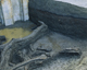 FileNo.138-iko00090.jpg