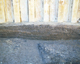 FileNo.138-iko00115.jpg