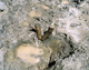 FileNo.138-iko00136.jpg
