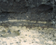 FileNo.138-iko00153.jpg