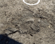 FileNo.138-iko00160.jpg