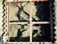 FileNo.138-iko00173.jpg